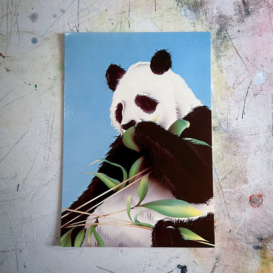 Vintage 1980s Panda Postcard