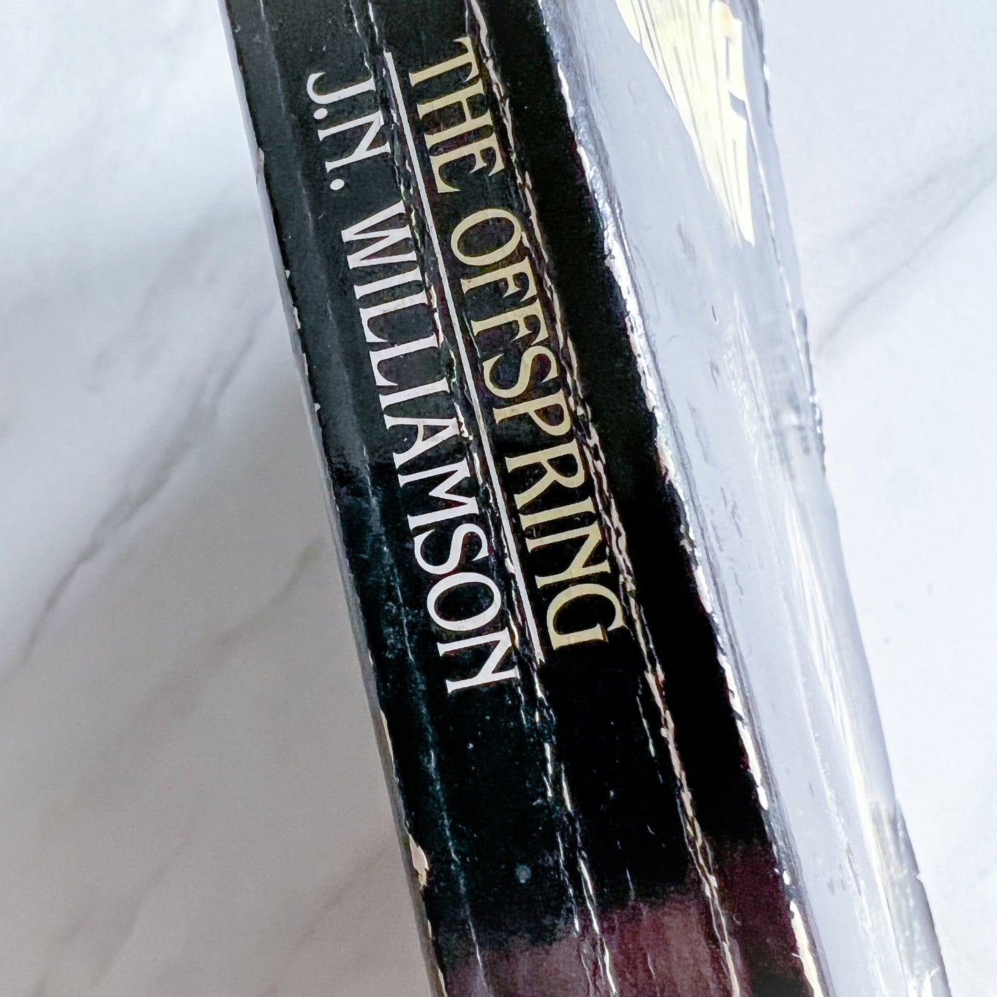 The Offspring by J N Williamson - 1984 Vintage Paperback Book