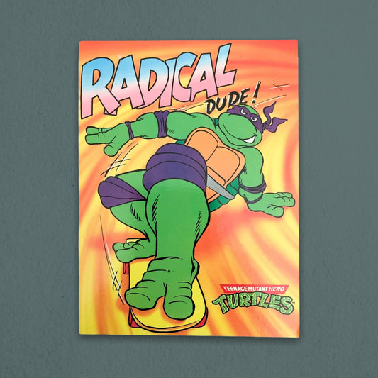Vintage 1990 Radical Dude TMNT Postcard