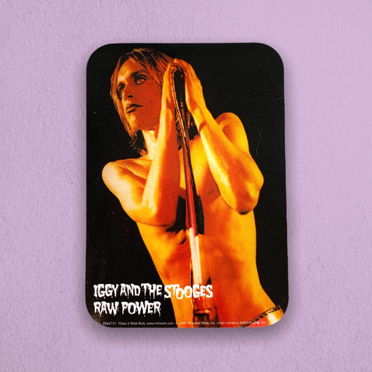 Vintage 2000s Iggy & The Stooges Vinyl Sticker